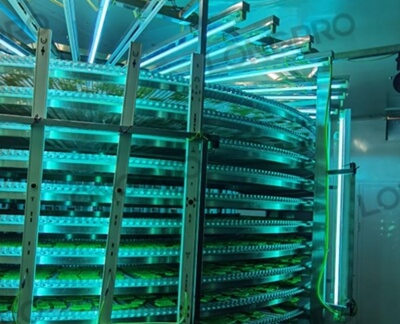 食品廠防爆紫外線殺菌燈：保障食品生產(chǎn)環(huán)境安全的利器！