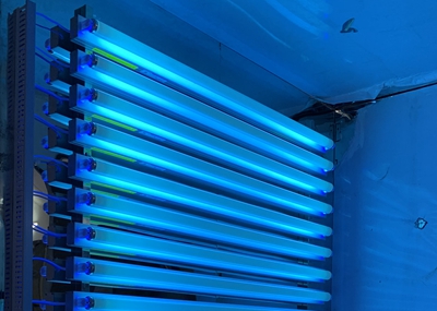如何通過UV紫外光照實驗箱構建動物皮膚光老化模型？